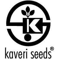 Kaveri Seeds